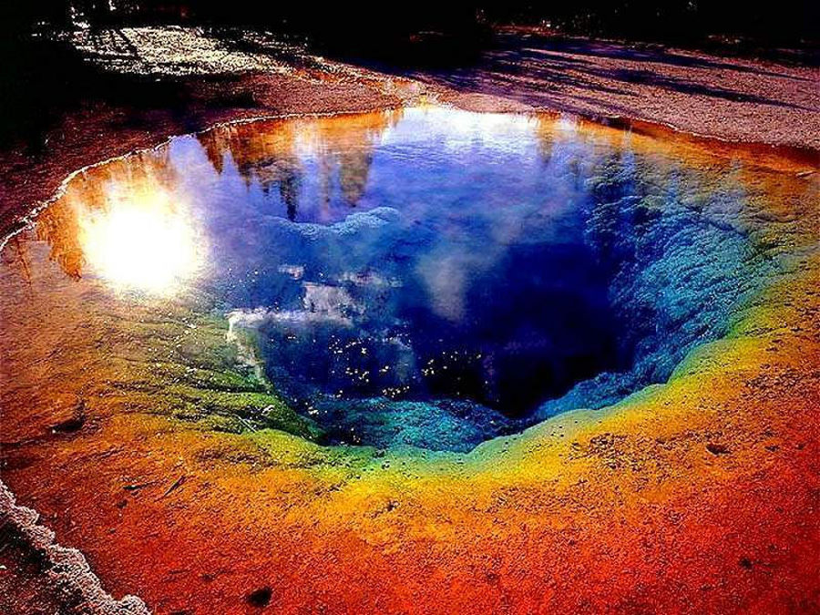The Morning Glory Pool At Yellowstone National Park