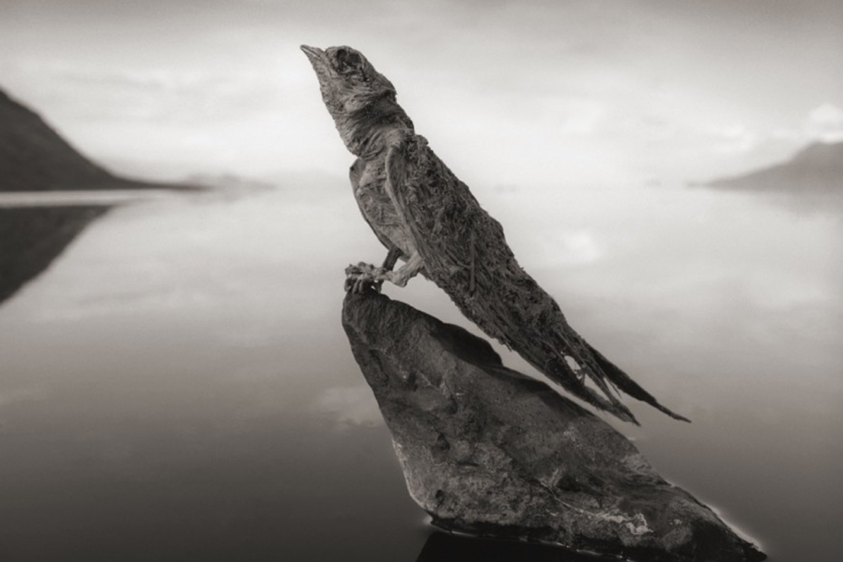 The Lake That Turns Animals Into Stone - Lake Natron
